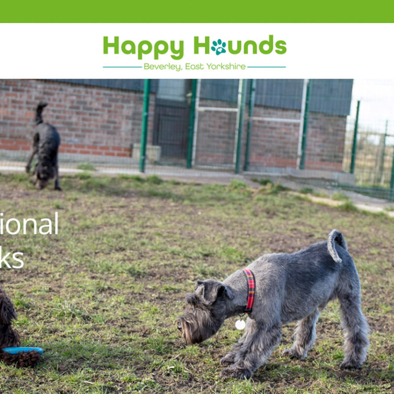 Happy Hounds, beverley east yorkshire website design by weborchard, web design with Wordpress website