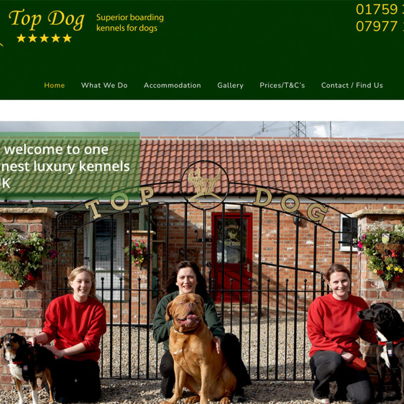Wordpress web design for top dog kennels, york, website design by weborchard, hull and beverley